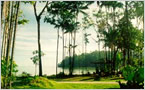 Similajau National Park