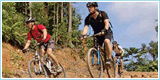 Mountain Biking
